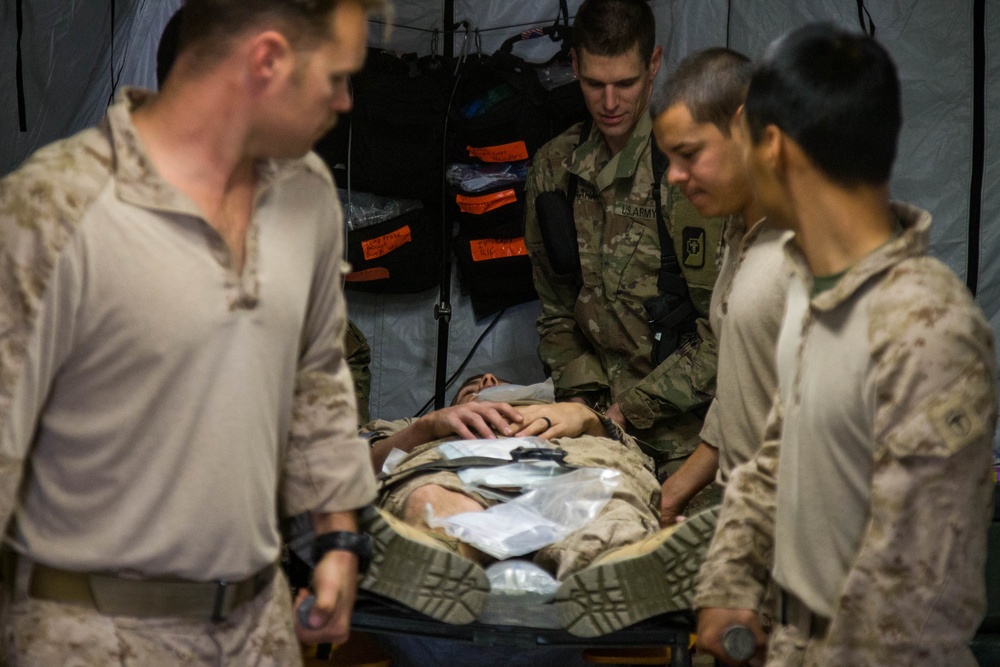 Shock Trauma Platoon Mas Casualty Exercise With French Forces