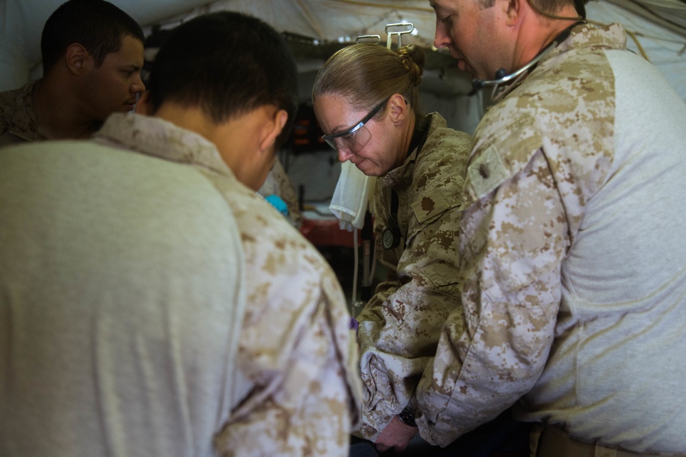 Shock Trauma Platoon Mas Casualty Exercise With French Forces