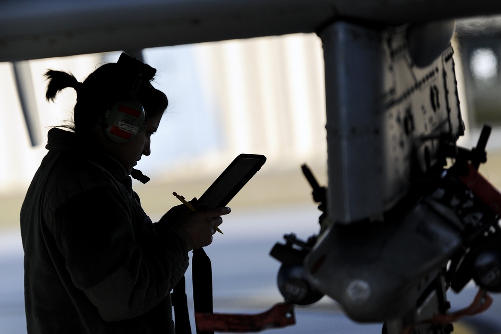 75th AMU keeps A-10s flying despite frigid conditions