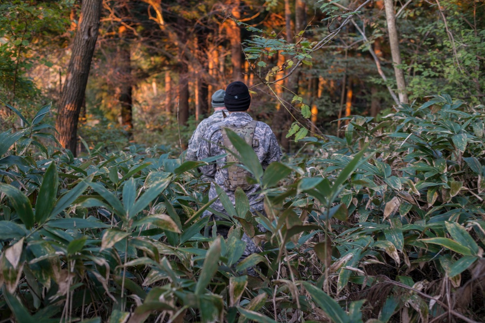 Treking through the weeds