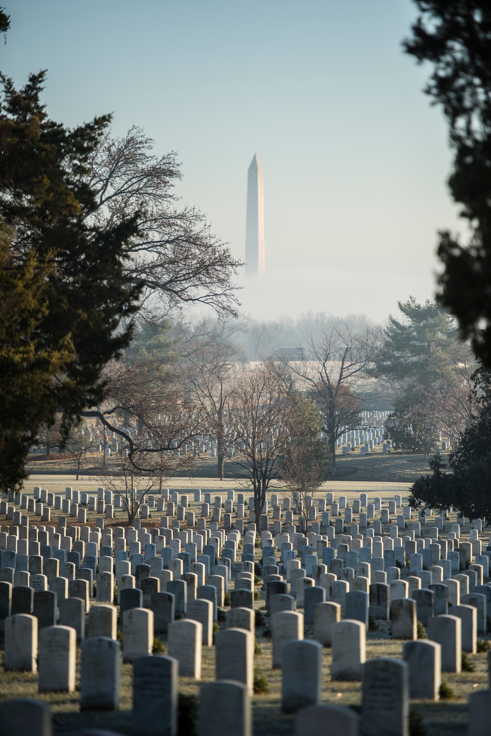 Freezing Fog Rolls Across Arlington National Cemetery