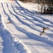 Snow-tubing at Fort McCoy's Whitetail Ridge Ski Area