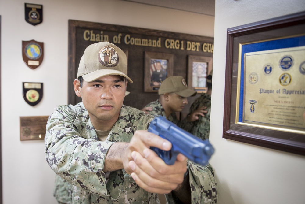 CRG-1 SRF-B and TTM Training