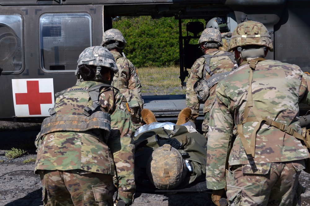 Combat medics conduct MEDEVAC training on Black Hawk