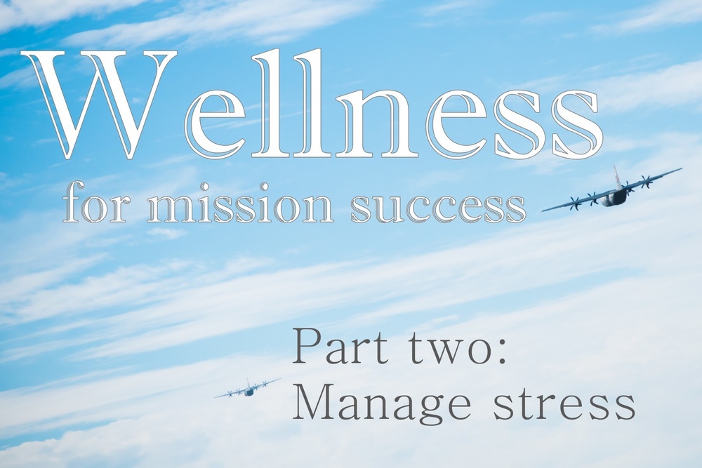 Wellness for mission success