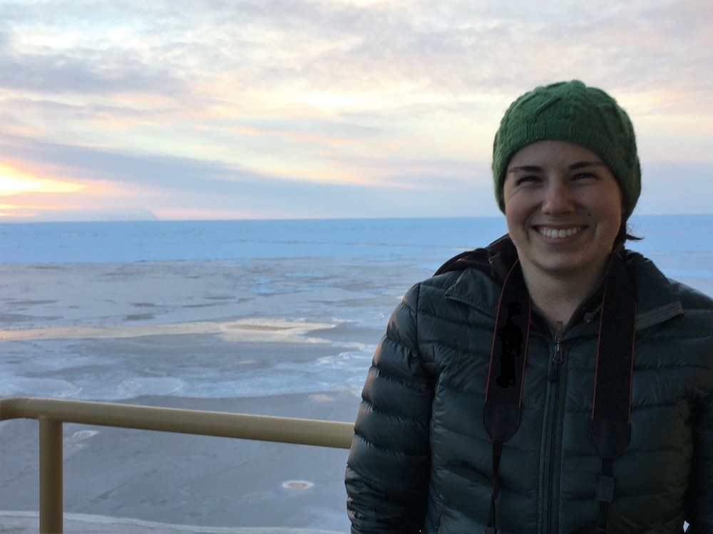 Exploring sea ice production in the Ross Sea