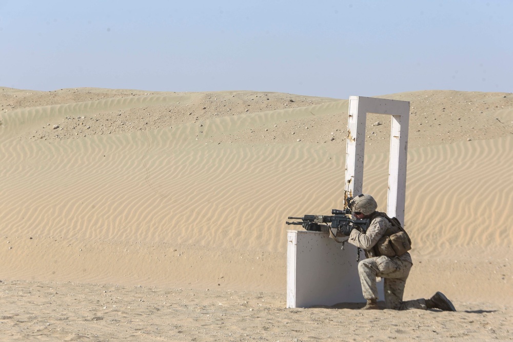 BLT 1/5 conducts live-fire and maneuver training