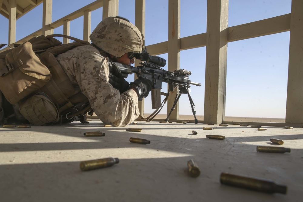 BLT 1/5 conduct live-fire and maneuver training