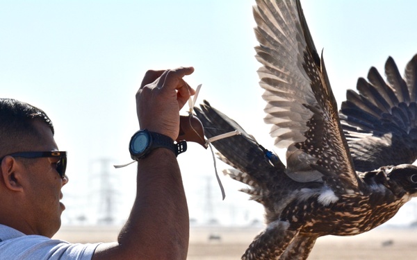 Kuwait Veterinarian Branch Chief visits local Falconer