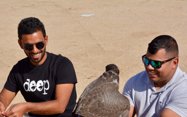Kuwait Veterinarian Branch Chief visits local Falconer