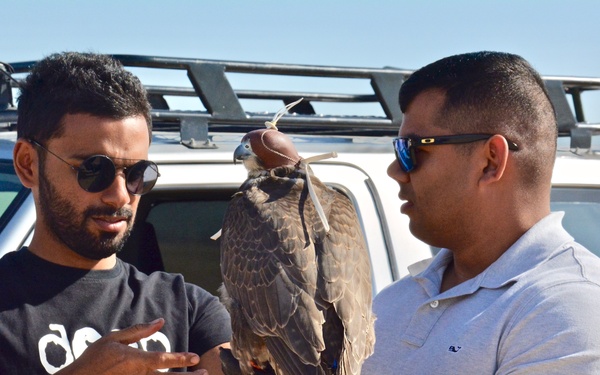 Kuwait Veterinarian Branch Chief visits local Falconer