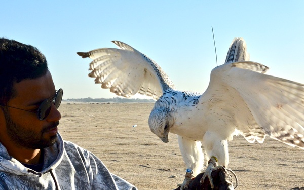 Kuwait Veterinarian Branch Chief visits local Falconer