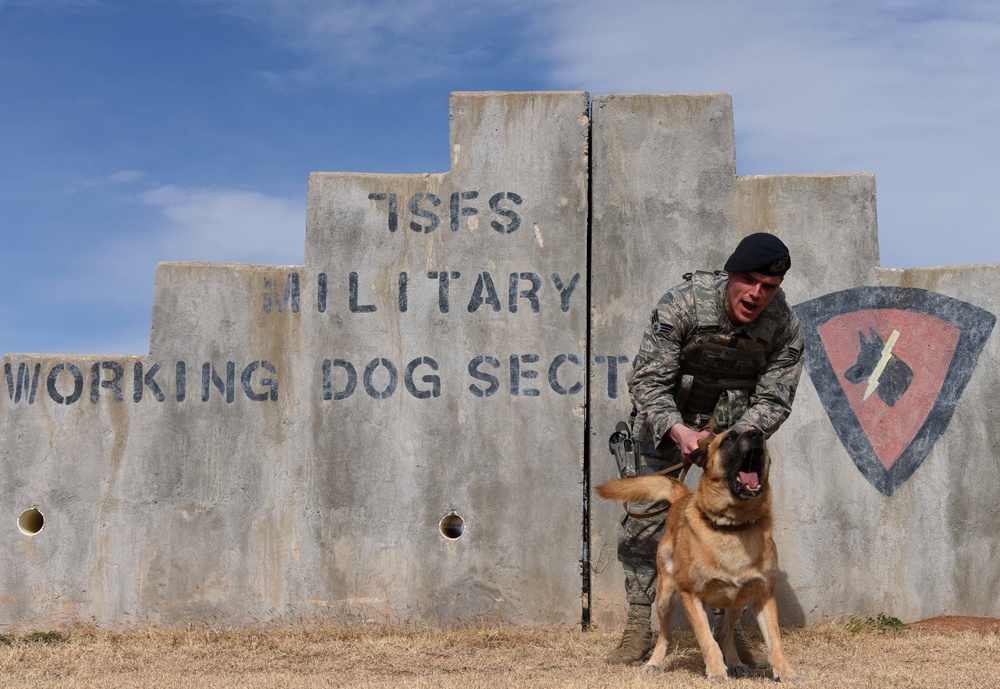 Defender duo: New handler bonds quickly with MWD