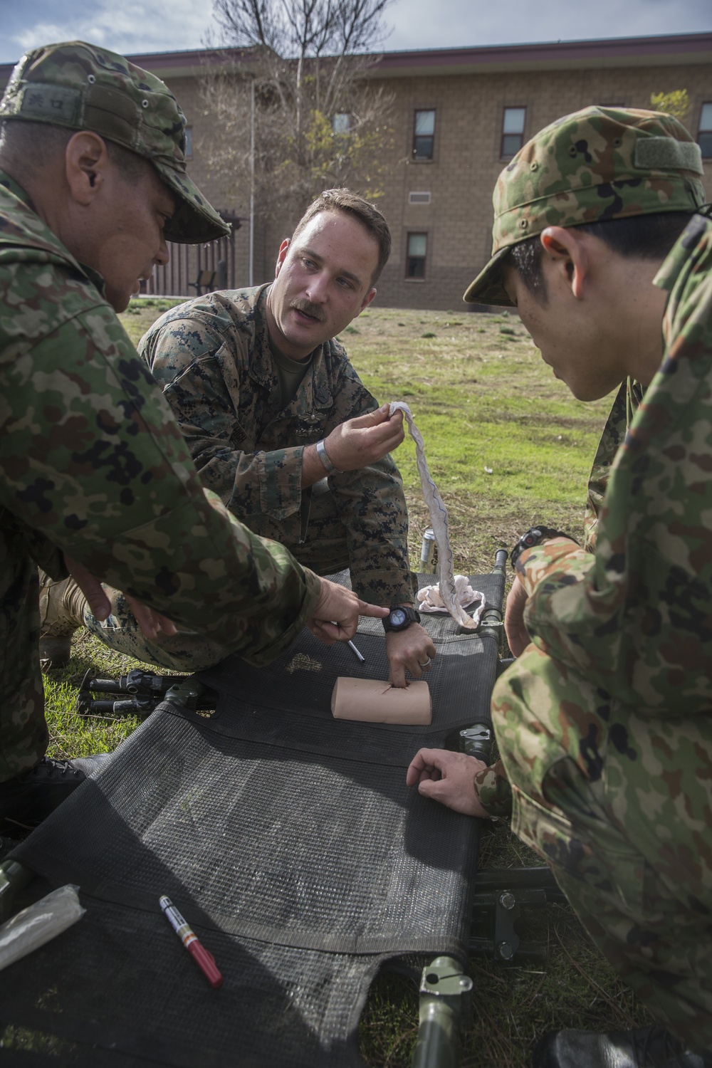 Exercise Iron Fist 2018: Combat Life Savers Course