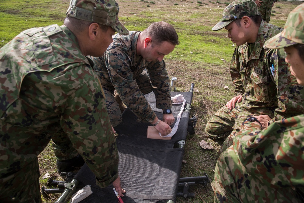 Exercise Iron Fist 2018: Combat Life Savers Course