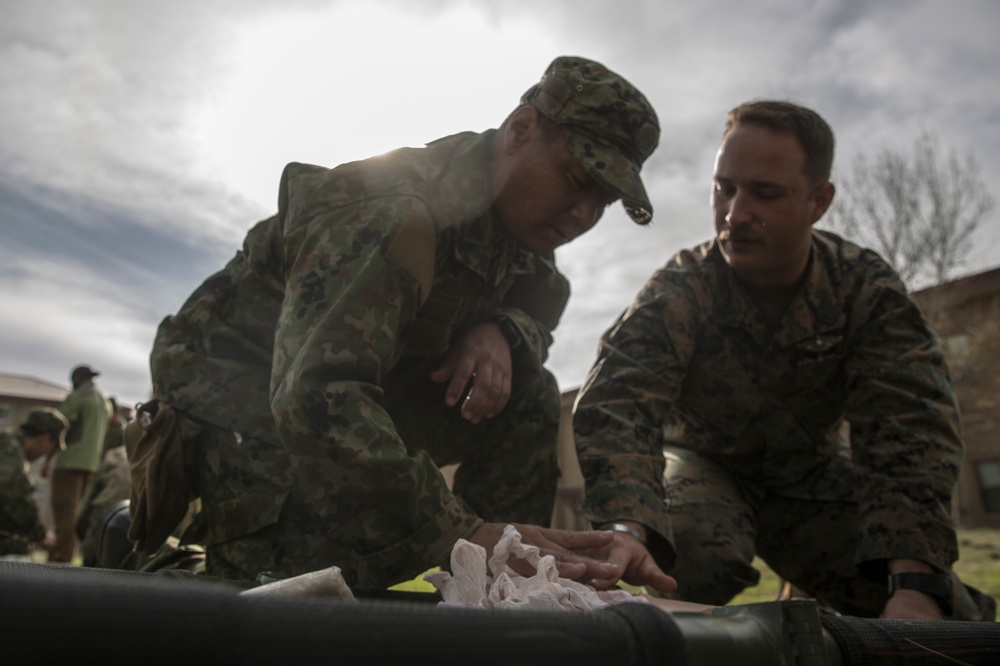 Exercise Iron Fist 2018: Combat Life Savers Course