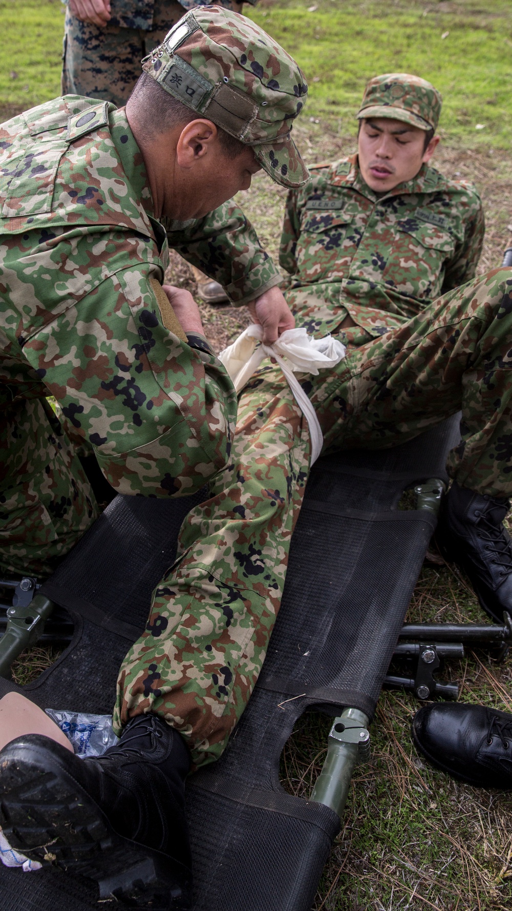 Exercise Iron Fist 2018: Combat Life Savers Course