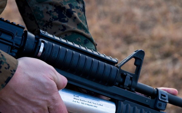 Joint Non-Lethal Weapons Program