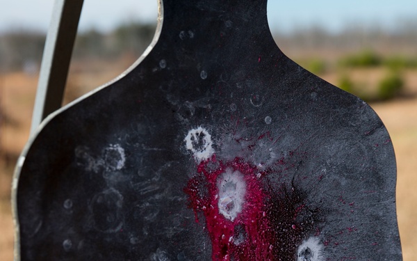 Joint Non-Lethal Weapons Program