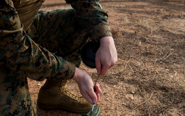 Joint Non-Lethal Weapons Program