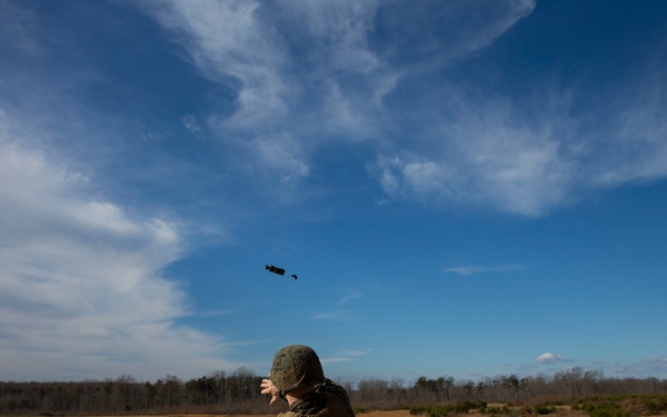 Joint Non-Lethal Weapons Program