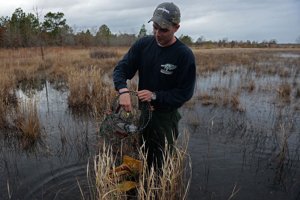 Snagging sneaky salamanders