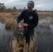 Snagging sneaky salamanders