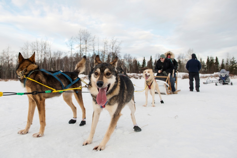 673d FSS and JBER Life offer dog sled rides to Hillberg Ski Area visitors