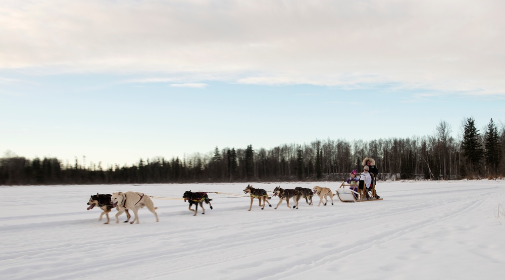 673d FSS and JBER Life offer dog sled rides to Hillberg Ski Area visitors