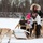673d FSS and JBER Life offer dog sled rides to Hillberg Ski Area visitors
