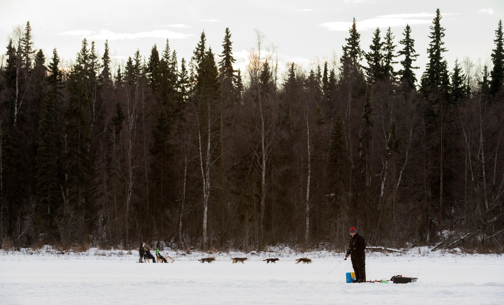 673d FSS and JBER Life offer dog sled rides to Hillberg Ski Area visitors