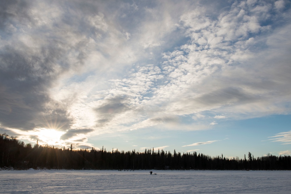 673d FSS and JBER Life offer dog sled rides to Hillberg Ski Area visitors