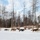 673d FSS and JBER Life offer dog sled rides to Hillberg Ski Area visitors