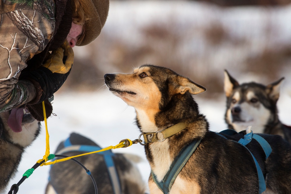 673d FSS and JBER Life offer dog sled rides to Hillberg Ski Area visitors