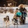 673d FSS and JBER Life offer dog sled rides to Hillberg Ski Area visitors