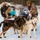 673d FSS and JBER Life offer dog sled rides to Hillberg Ski Area visitors