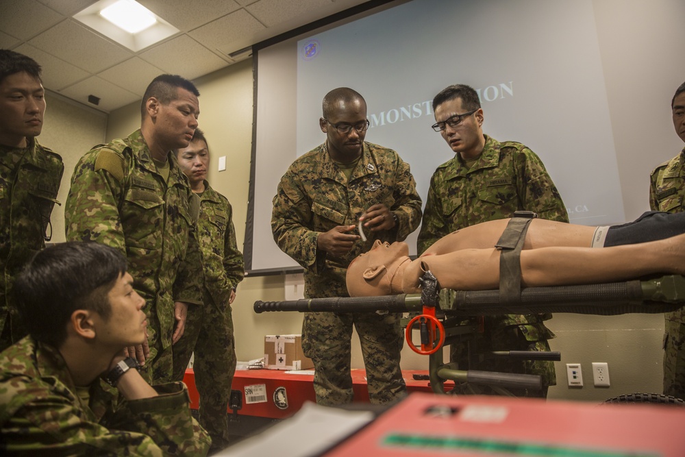 Exercise Iron Fist 2018: Combat Life Savers Course