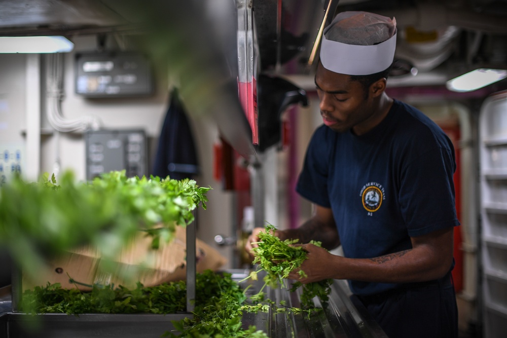 USS Theodore Roosevelt (CVN 71) Deployment FY 2018