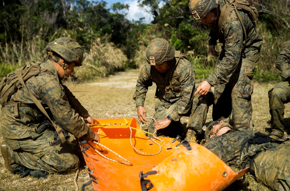 Americas Battalion maneuvers the endurance course at the Jungle Warfare Training Center