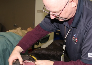 Fort McCoy's RTS-Medical covers all aspects of CSH training