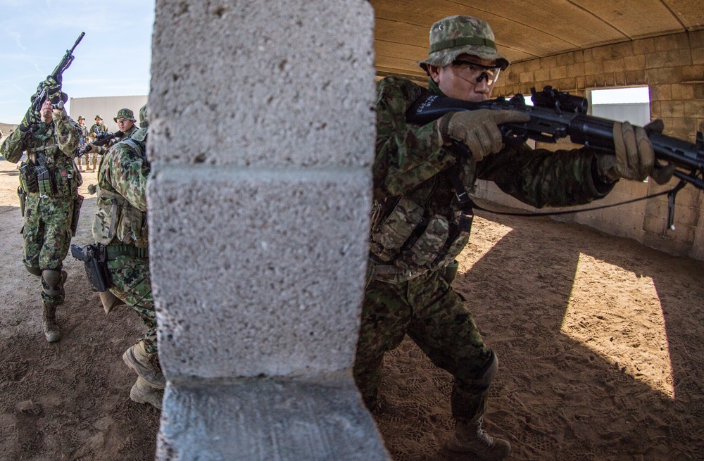 Exercise Iron Fist 2018: MOUT Training