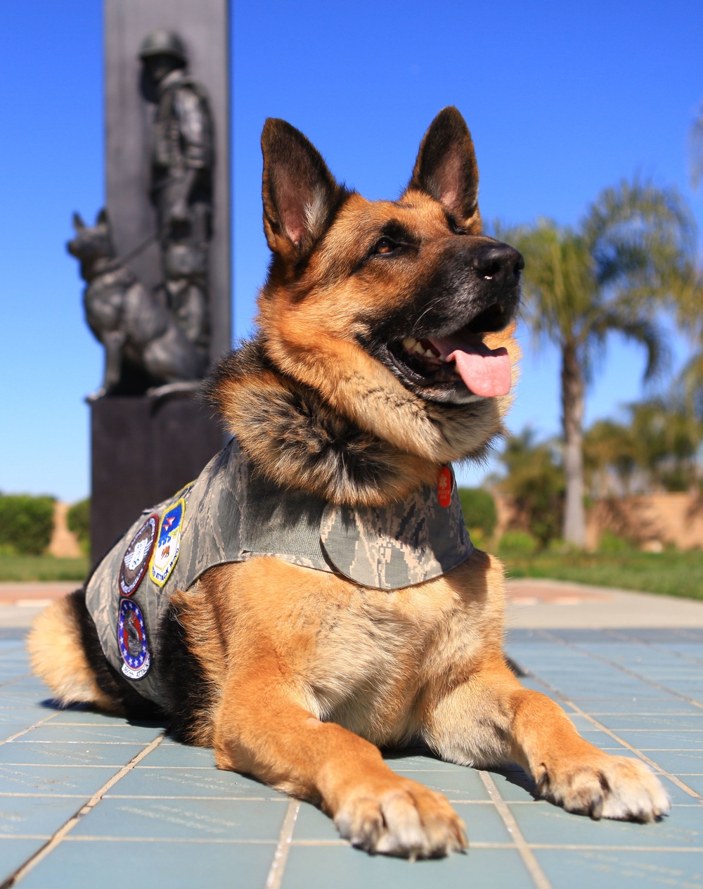 Top Dogs: September is National Service Dog Month