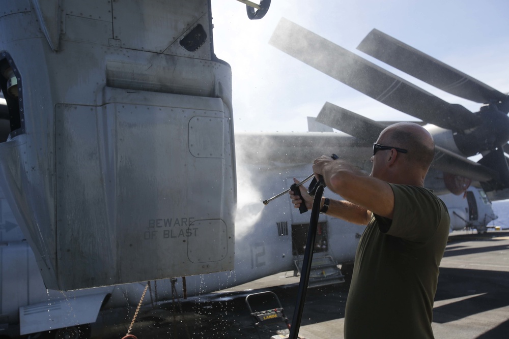 USS America (LHA 6) conducts agricultural wash down