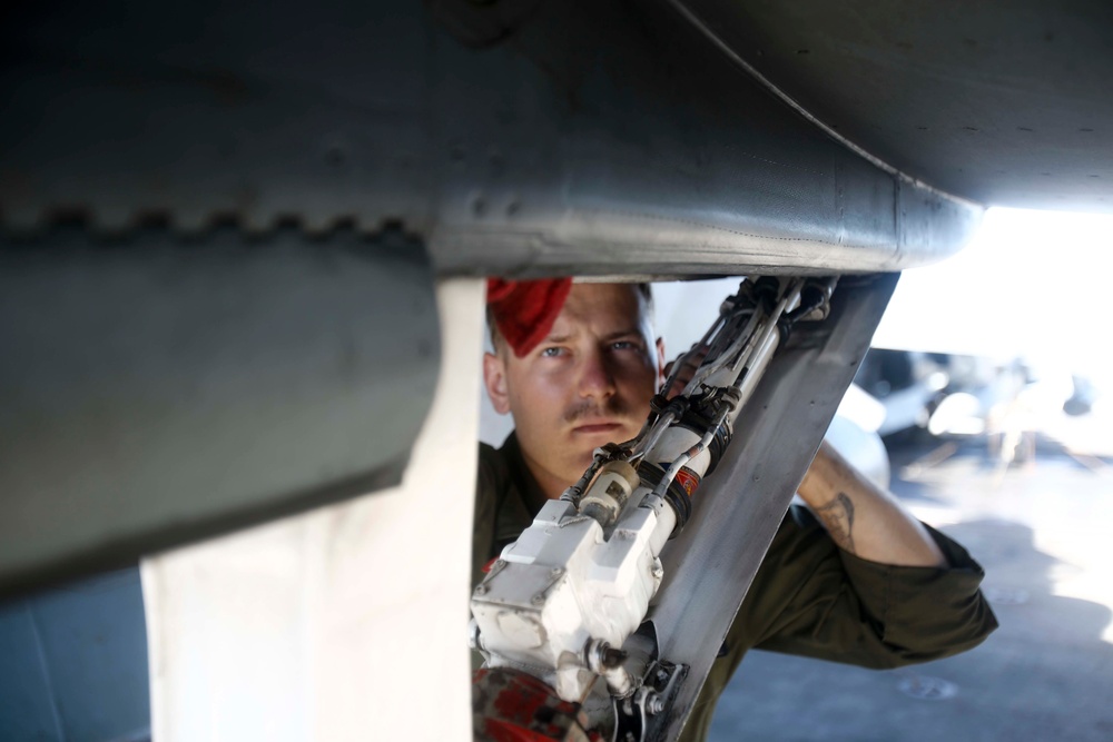 USS America (LHA 6) conducts agricultural wash down