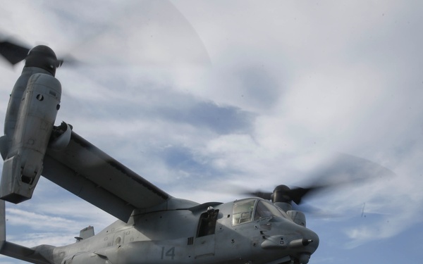 Ship Life: USS America (LAH 6)