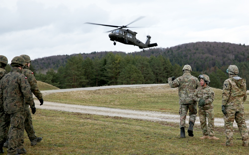 Allied Spirit VIII Aviation Operations