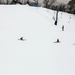 Students learn skiing techniques during Cold-Weather Operations Course at Fort McCoy