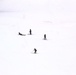 Students learn skiing techniques during Cold-Weather Operations Course at Fort McCoy