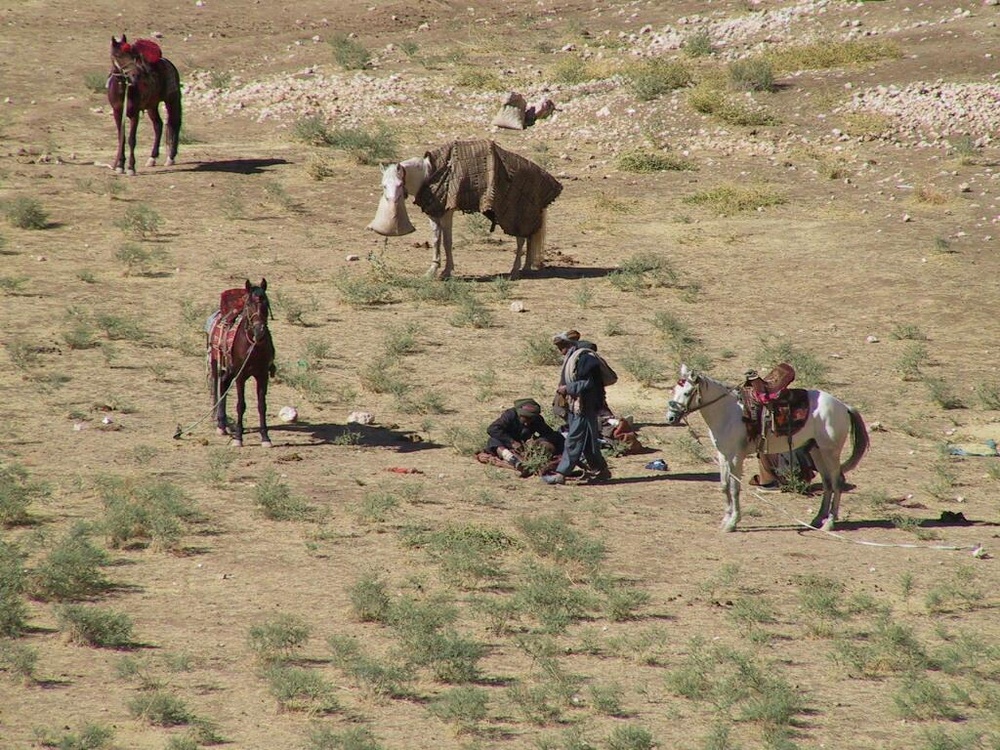 Original Horse Soldier Photos