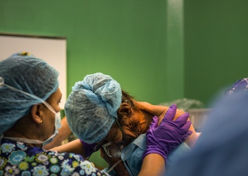 Joint Task Force-Bravo surgeons complete surgical mission in Danlí